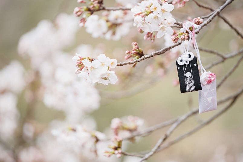 桜の前撮り Photoart Lab 東京前撮り