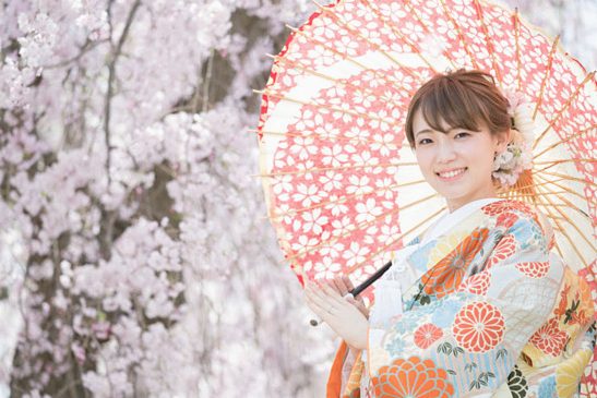 新宿御苑の桜と和傘で撮影した和装前撮り